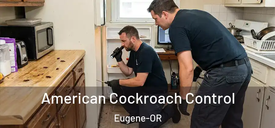  American Cockroach Control Eugene-OR