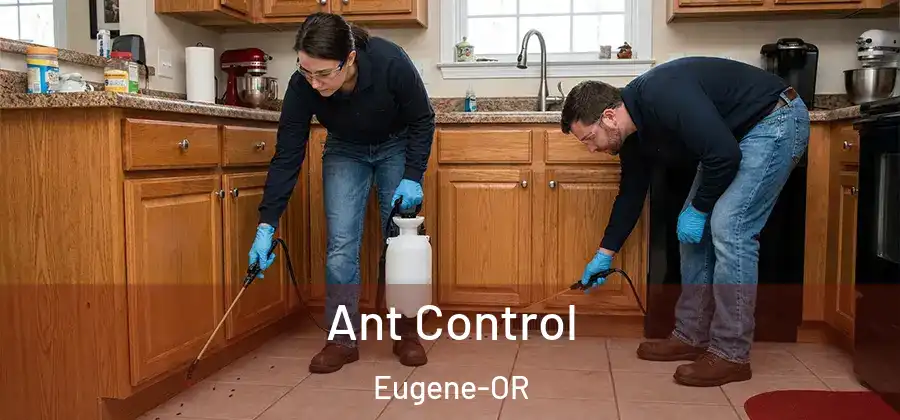  Ant Control Eugene-OR