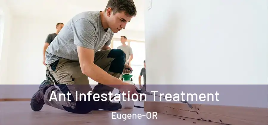  Ant Infestation Treatment Eugene-OR
