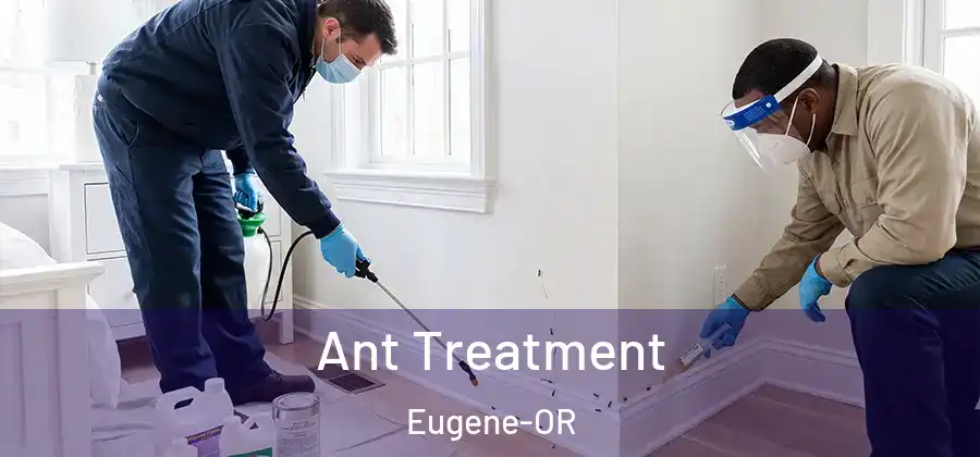  Ant Treatment Eugene-OR
