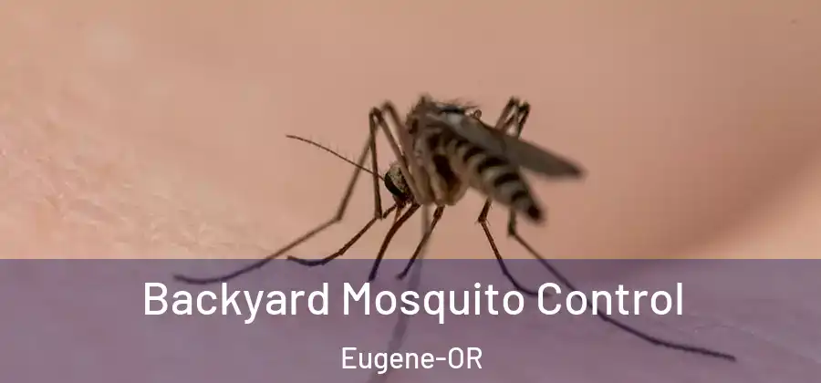  Backyard Mosquito Control Eugene-OR