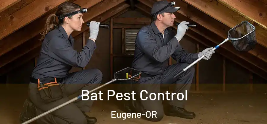  Bat Pest Control Eugene-OR