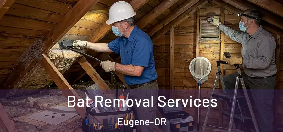  Bat Removal Services Eugene-OR