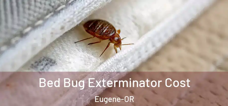  Bed Bug Exterminator Cost Eugene-OR