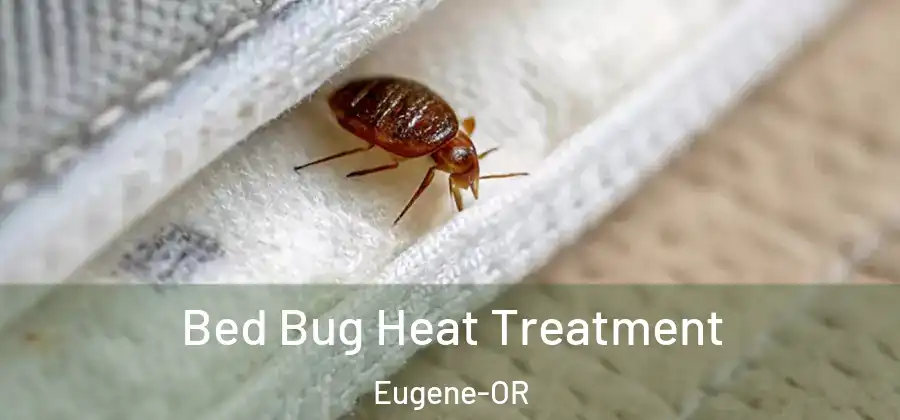  Bed Bug Heat Treatment Eugene-OR