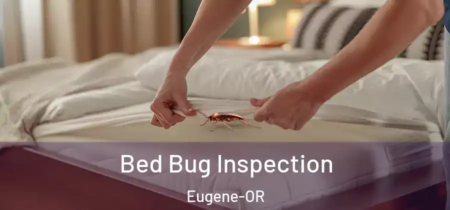  Bed Bug Inspection Eugene-OR