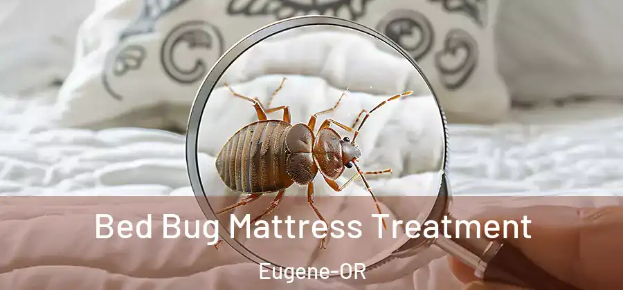  Bed Bug Mattress Treatment Eugene-OR