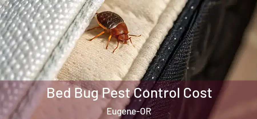  Bed Bug Pest Control Cost Eugene-OR