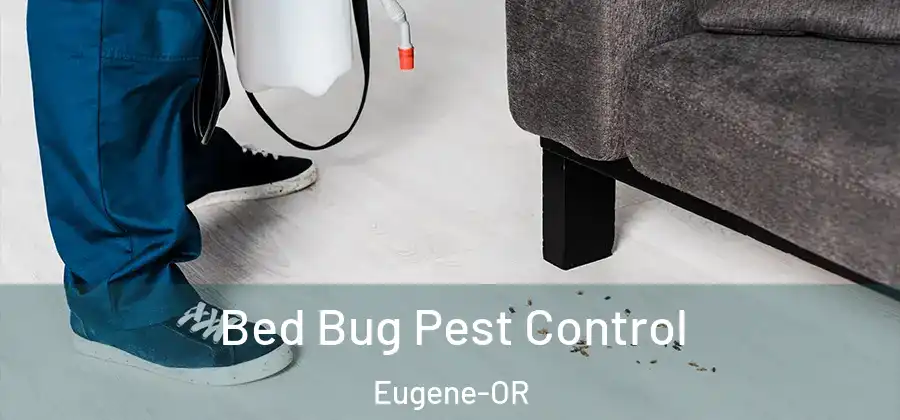  Bed Bug Pest Control Eugene-OR
