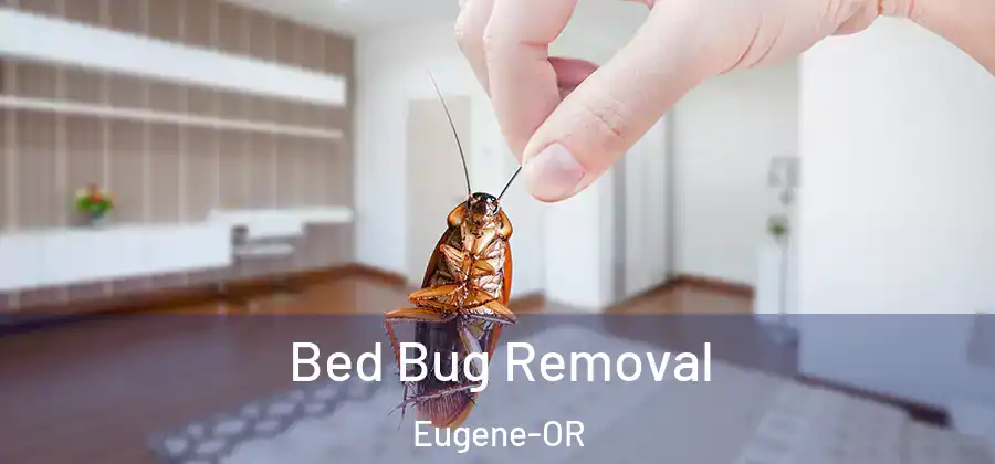  Bed Bug Removal Eugene-OR