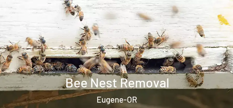  Bee Nest Removal Eugene-OR