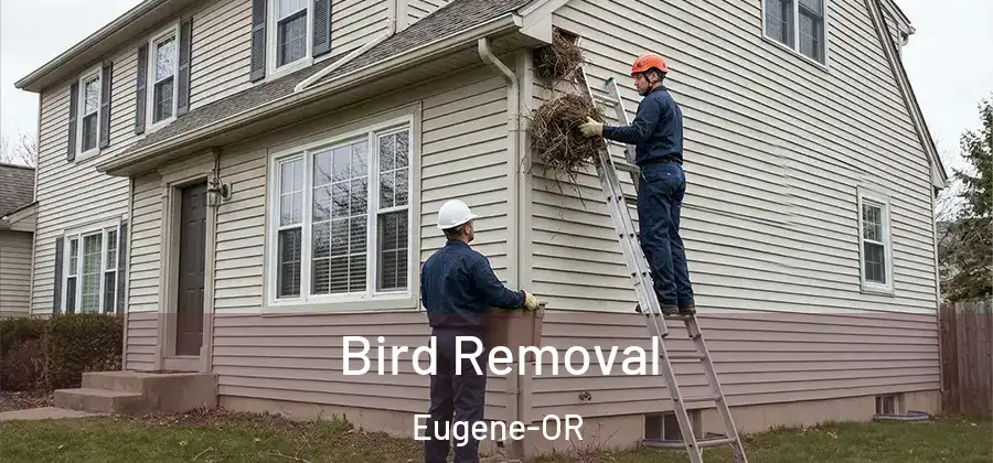  Bird Removal Eugene-OR