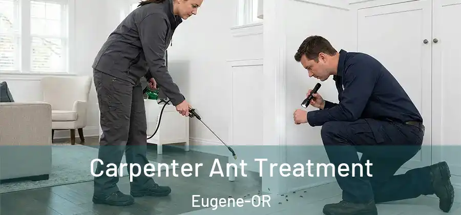 Carpenter Ant Treatment Eugene-OR