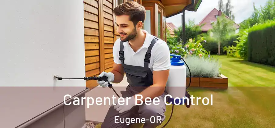  Carpenter Bee Control Eugene-OR