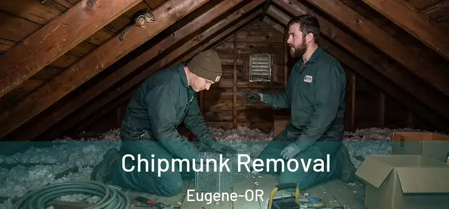  Chipmunk Removal Eugene-OR