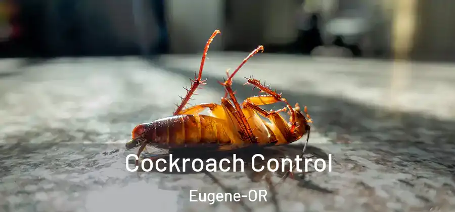  Cockroach Control Eugene-OR