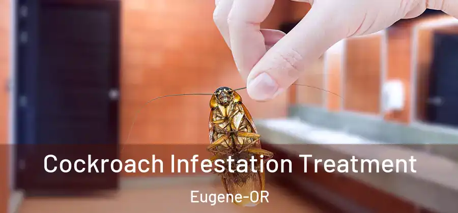  Cockroach Infestation Treatment Eugene-OR