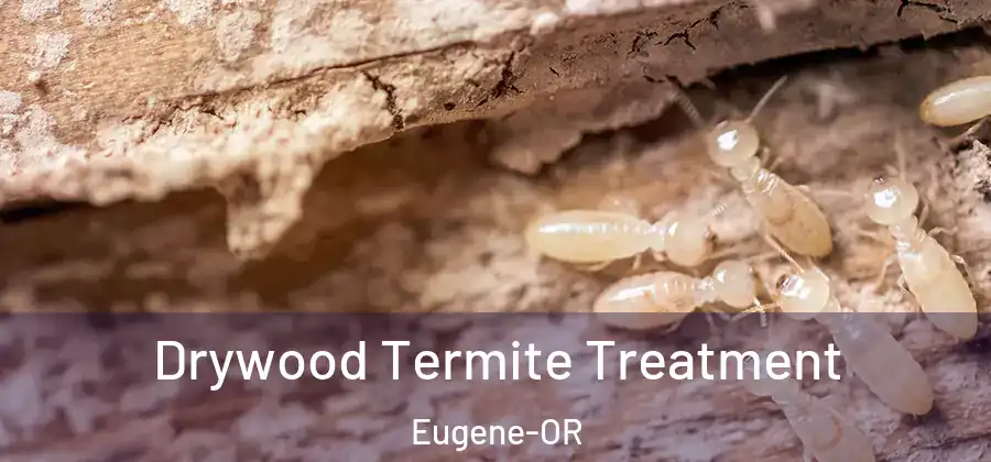  Drywood Termite Treatment Eugene-OR