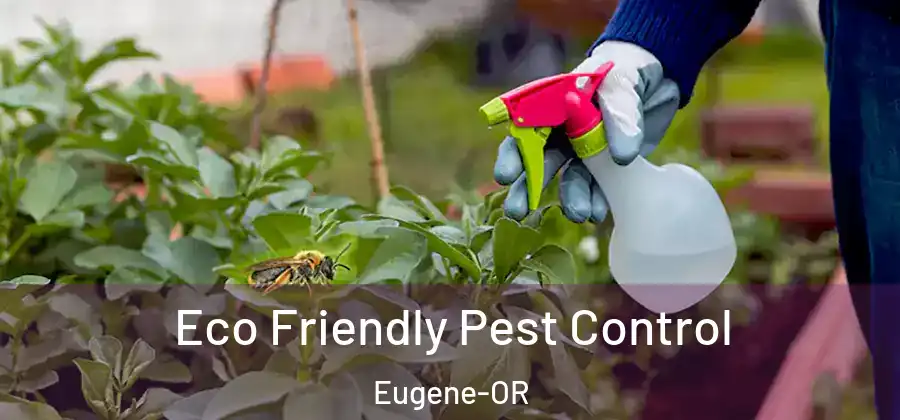  Eco Friendly Pest Control Eugene-OR