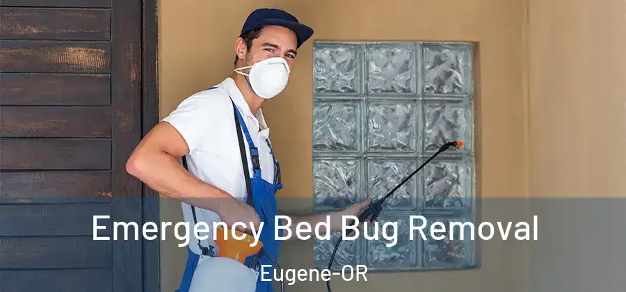  Emergency Bed Bug Removal Eugene-OR
