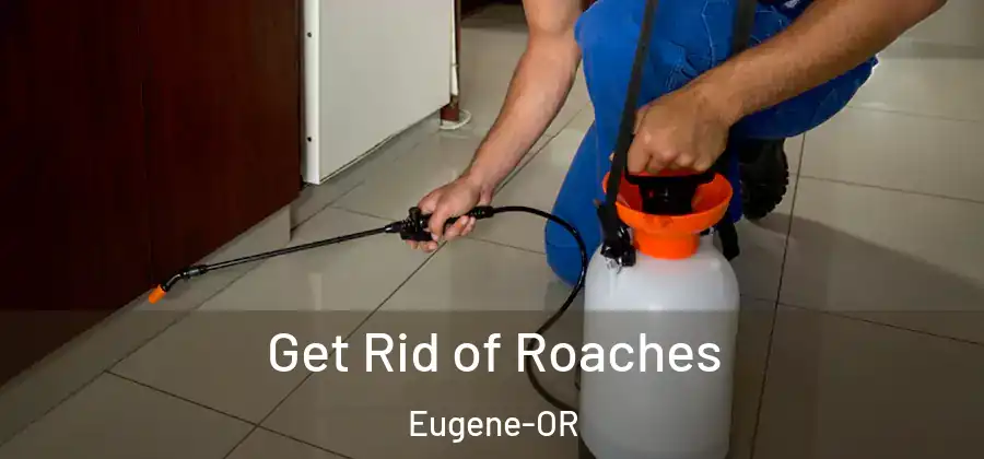  Get Rid of Roaches Eugene-OR