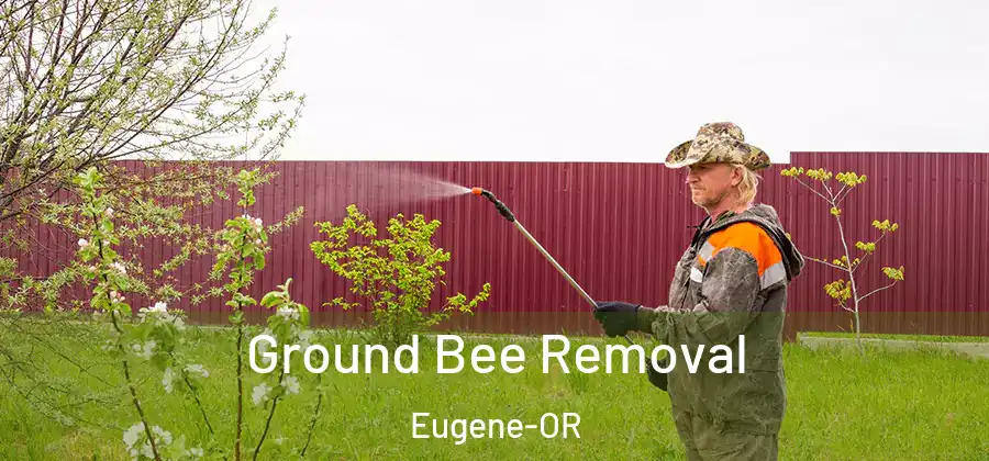  Ground Bee Removal Eugene-OR