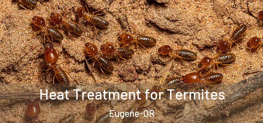  Heat Treatment for Termites Eugene-OR