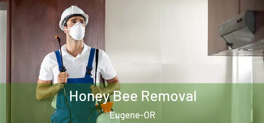  Honey Bee Removal Eugene-OR