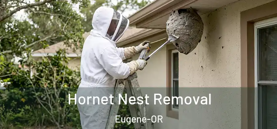  Hornet Nest Removal Eugene-OR
