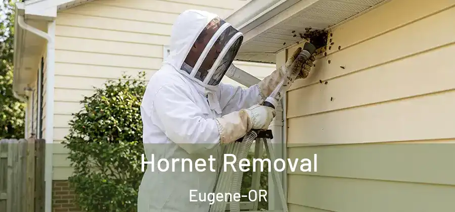  Hornet Removal Eugene-OR