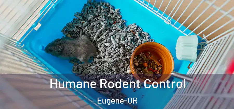  Humane Rodent Control Eugene-OR