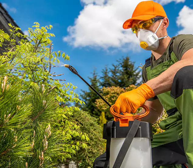 Your Best Bug Spray for Home Team in Eugene, OR