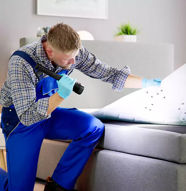 Why Choose Eugene Pest Control Pros for Bed Bug Exterminator Cost in Eugene, OR?