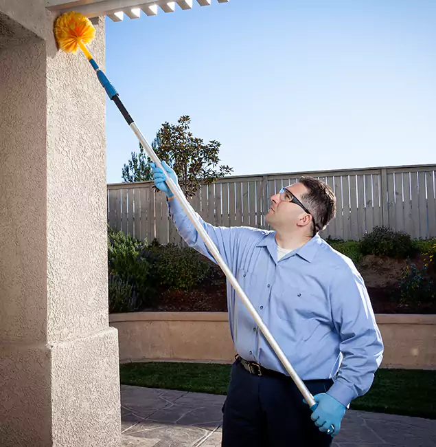Why Choose Eugene Pest Control Pros for Foundation Termite Treatment in Eugene, OR?