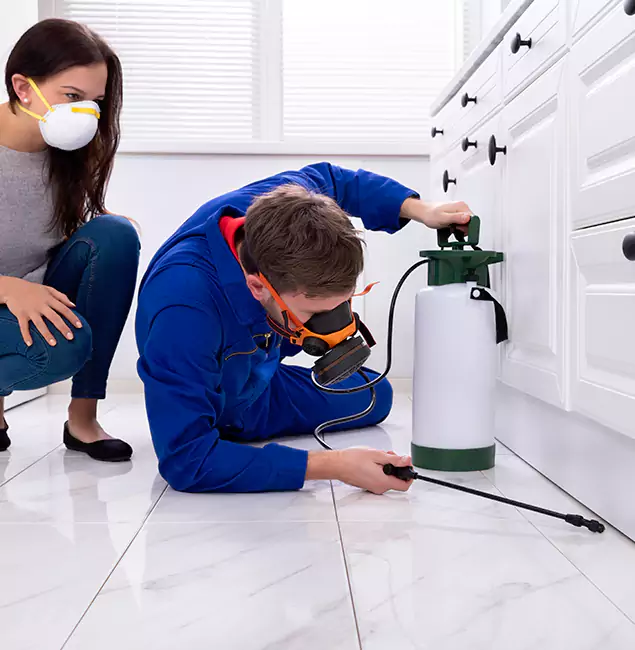 Why Eugene, OR Homeowners Trust Eugene Pest Control Pros for Roach Control?
