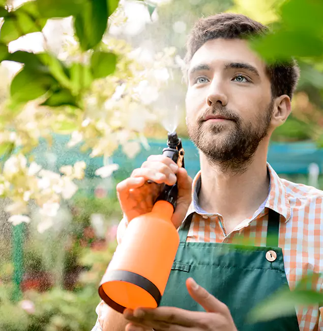 Why Eugene Homeowners Call Eugene Pest Control Pros for Mosquitoes in House?