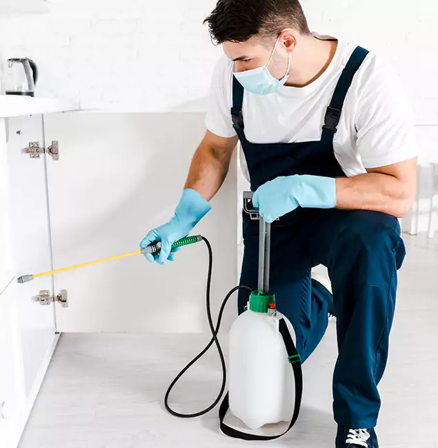 Why Choose Eugene Pest Control Pros for Termite Spot Treatment in Eugene, OR?