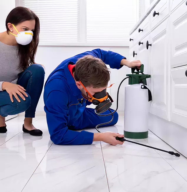 Why Choose Wood Termite Treatment by Eugene Pest Control Pros in Eugene, OR?