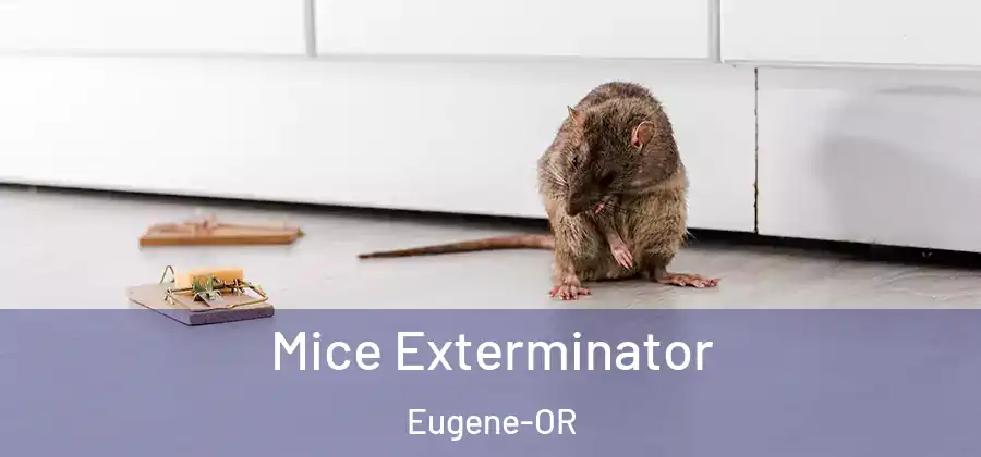  Mice Exterminator Eugene-OR