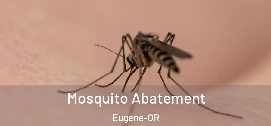  Mosquito Abatement Eugene-OR