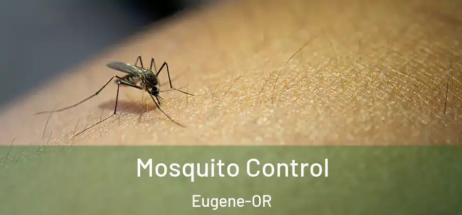  Mosquito Control Eugene-OR