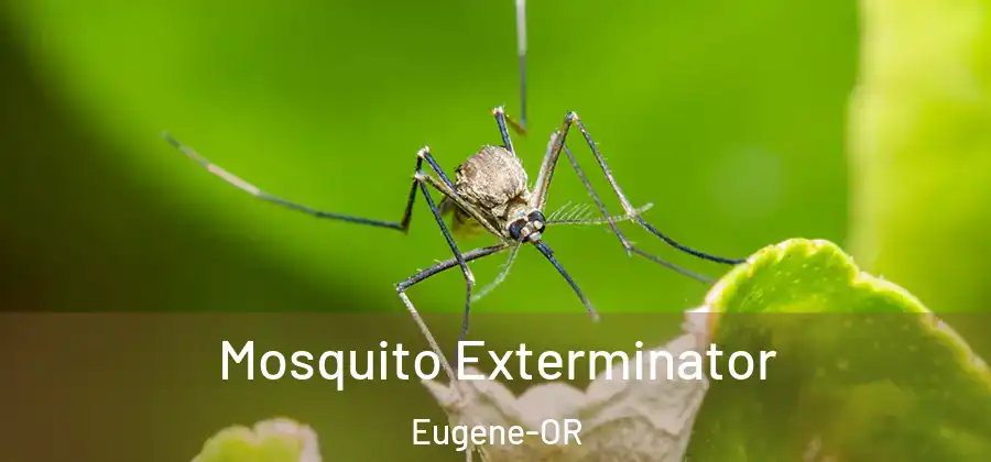  Mosquito Exterminator Eugene-OR