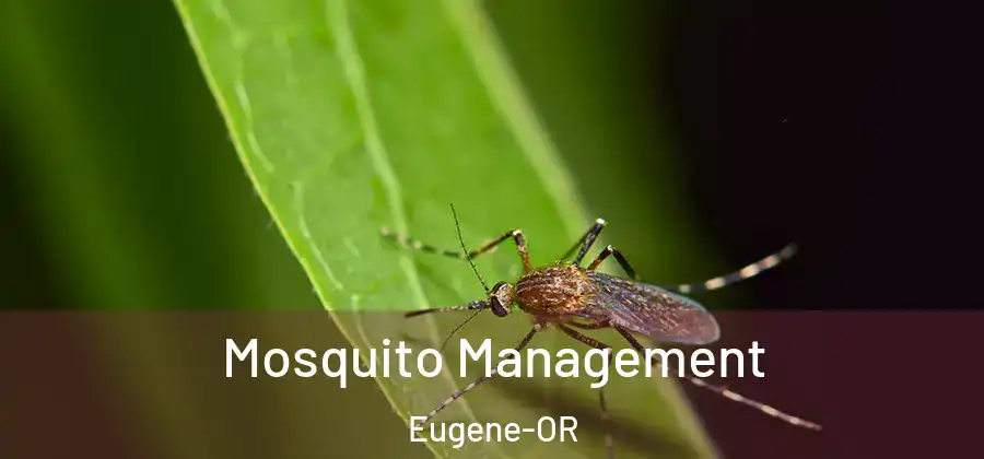  Mosquito Management Eugene-OR