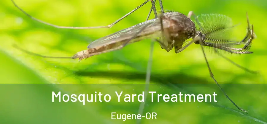  Mosquito Yard Treatment Eugene-OR