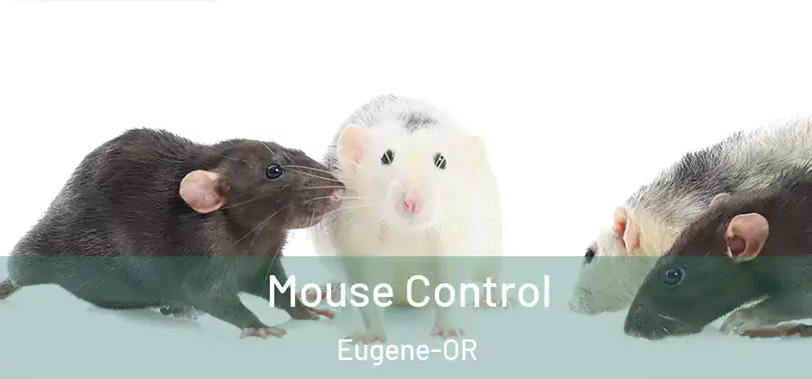  Mouse Control Eugene-OR