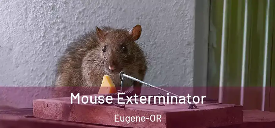  Mouse Exterminator Eugene-OR