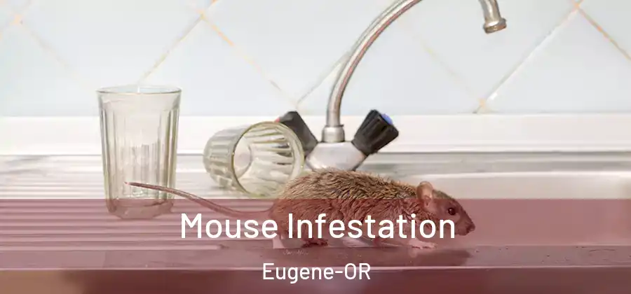  Mouse Infestation Eugene-OR