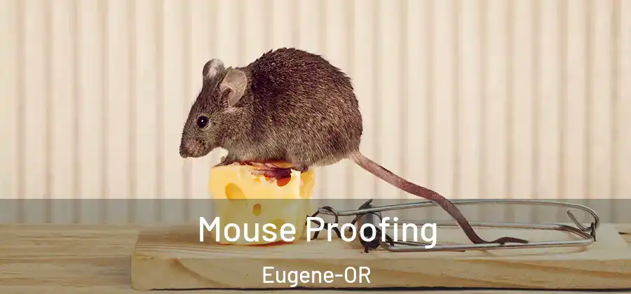  Mouse Proofing Eugene-OR