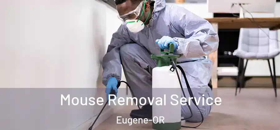  Mouse Removal Service Eugene-OR
