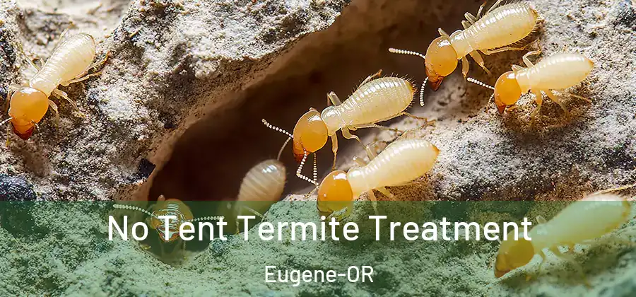  No Tent Termite Treatment Eugene-OR